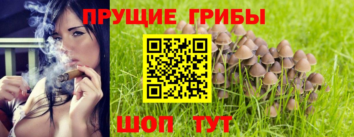 Псилоцибиновые грибы ЛСД  Вход с VPN  Псилоцибиновые грибы Psilocybe  Тамбов 