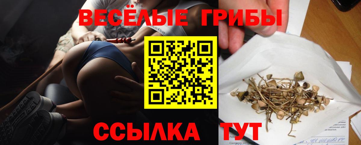 Псилоцибиновые грибы MAGIC MUSHROOMS Тамбов